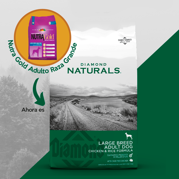 Diamond Naturals para Perro adulto raza grande 15 KG 2 Diamond Naturals para Perro adulto raza grande 15 KG - Imagen 2