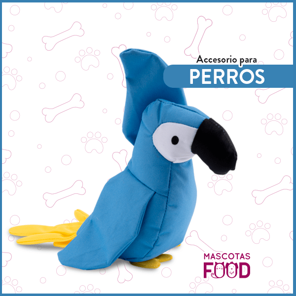 Lucy el Loro Pequeño BecoFamily para Perros