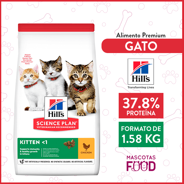 Alimento para Gatito Hill’s sabor Pollo 1.58 KG